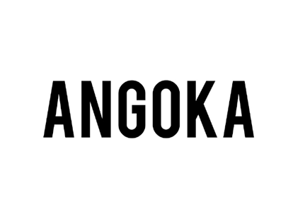 https://jensonventures.com/wp-content/uploads/2024/11/angoka-2024-11-13-02-00-08.webp